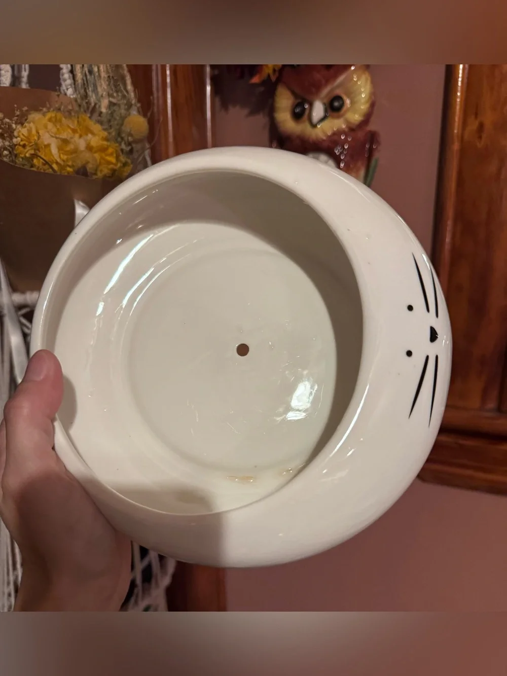 Koolkatkoo Cute Cat Ceramic Planter Pot